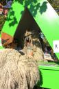 La Parade des Artistes 020 * 5184 x 3456 * (7.62MB)
